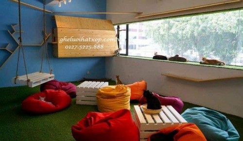 check-in-cung-ghe-luoi-hat-xop